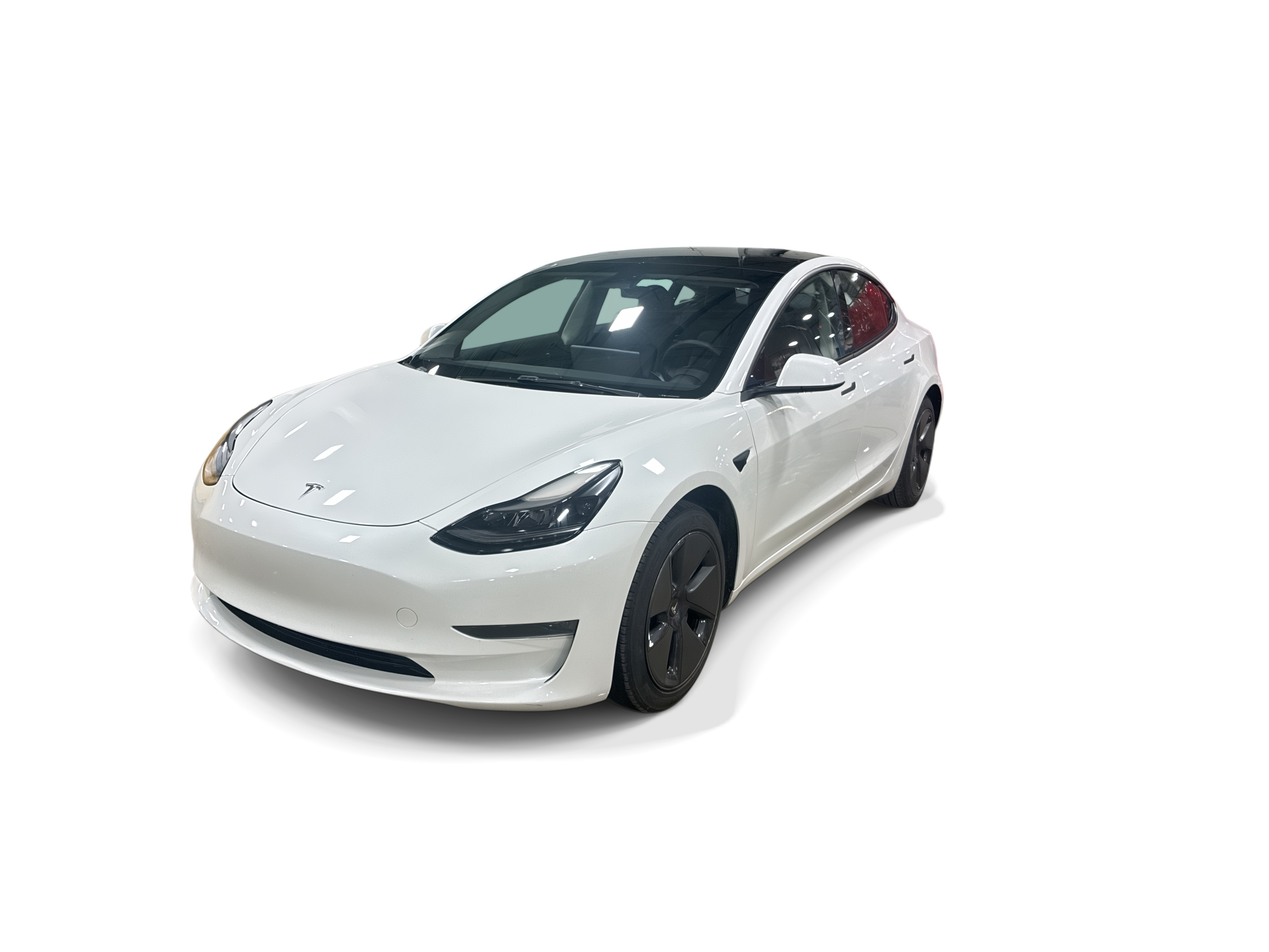 tesla model 3 2023 5YJ3E1EA2PF553511 image tesla model 3 2023 5YJ3E1EA2PF553511 image